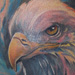 tattoo galleries/ - Eagle - 34555